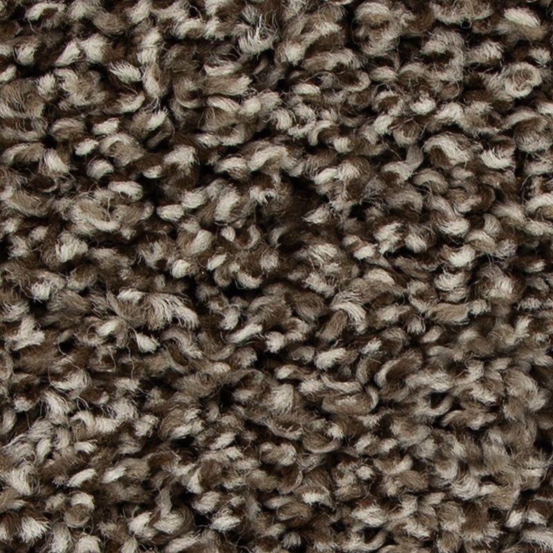 Color Fusion I - 889 - Highlander