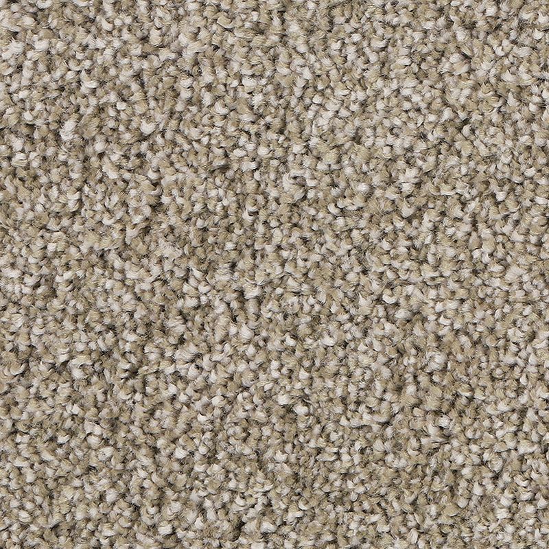 Delicate Tones II - 779 - Balsam Beige