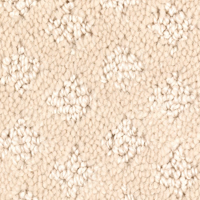 Design Inspiration - 520 - Seashell