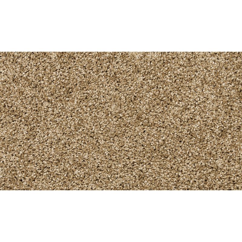 Diffurent Choice II - 787 - Parchment