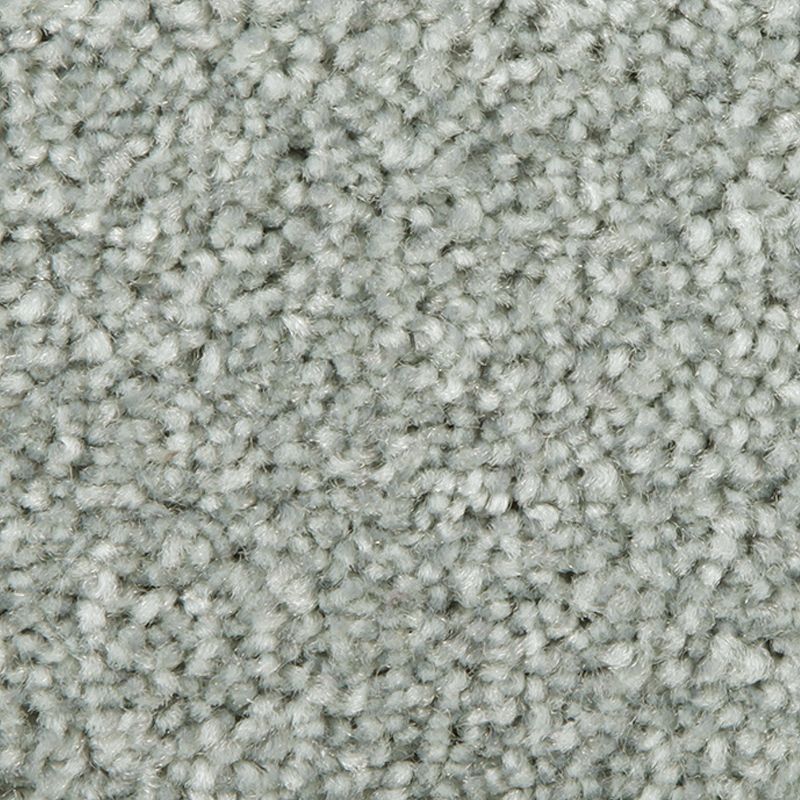 Distinct Beauty II - 621 - Oceania