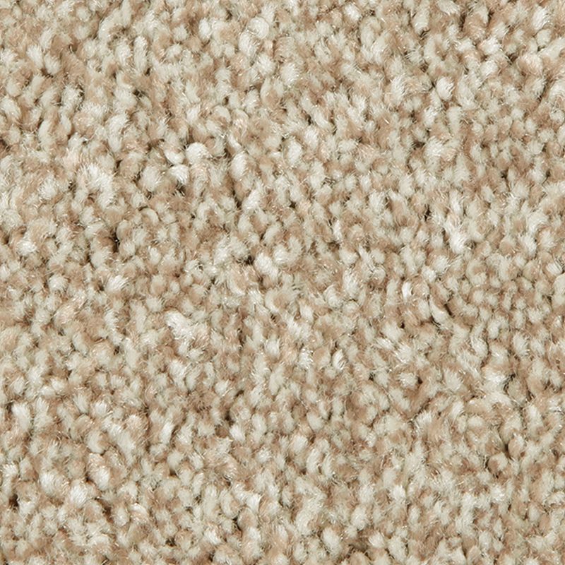 Distinct Beauty II - 831 - Dakota