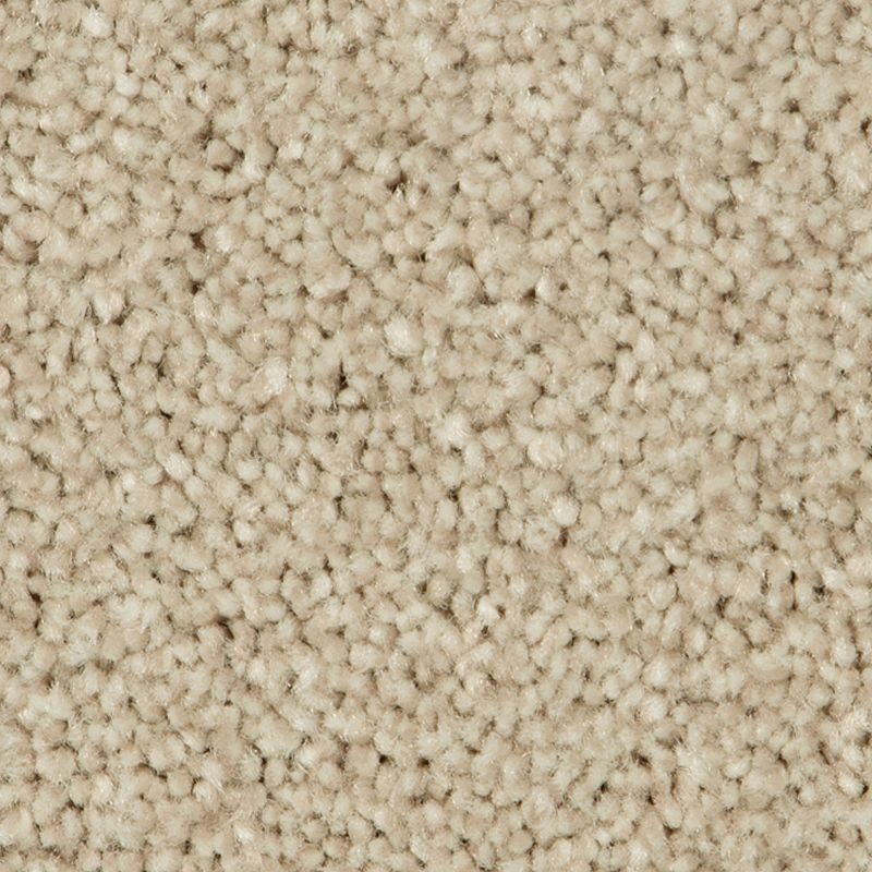 Distinct Beauty II - 833 - Java