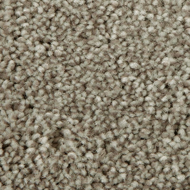 Distinct Beauty II - 839 - Woodland