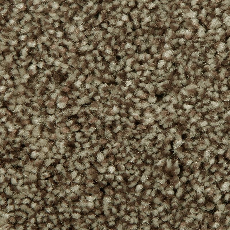 Distinct Beauty II - 863 - Coffeehouse