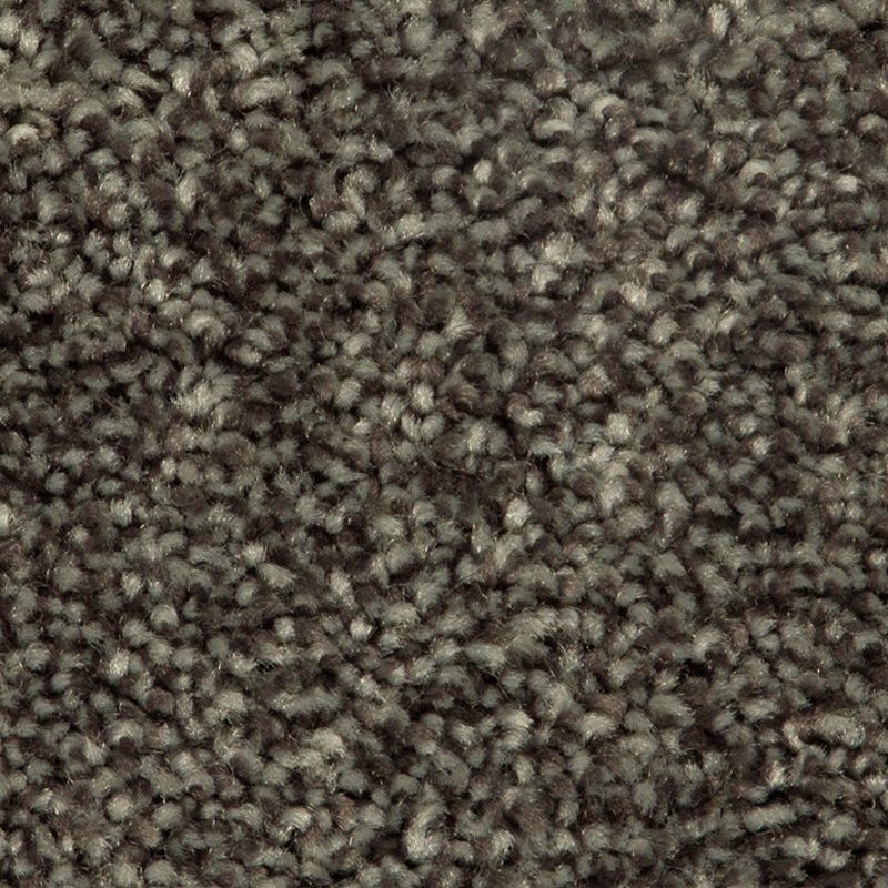 Distinct Beauty II - 978 - Tradewind