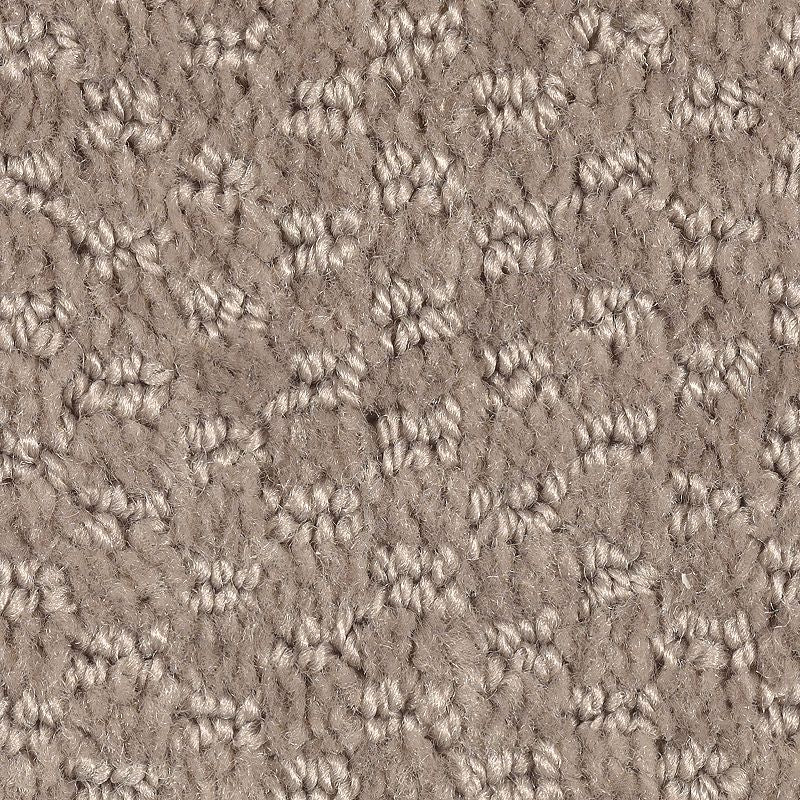 Dynamo - 859 - Taupe Treasure