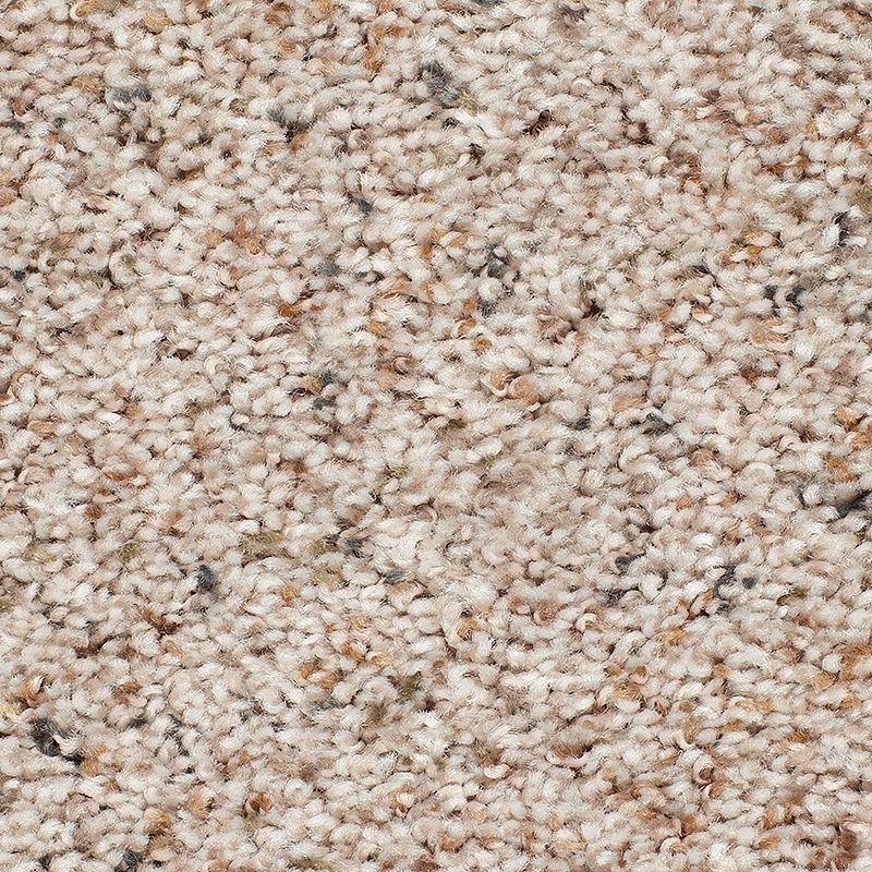 Earthly Details II - 504 - Magnolia Blossom