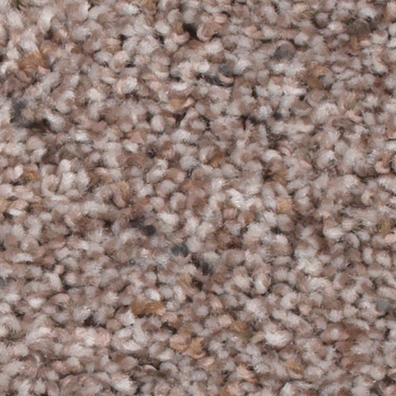 Earthly Details I - 511 - Rocky Ridge