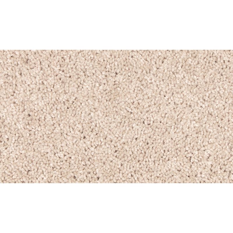 Easy Purpose - 716 - Dunes