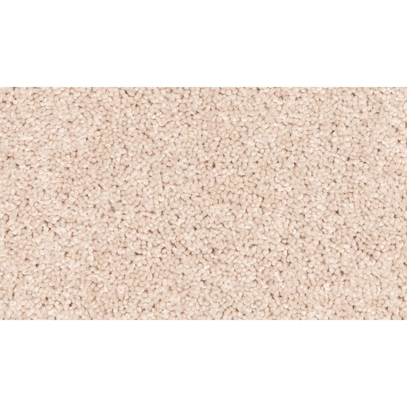 Easy Purpose - 731 - Celebration