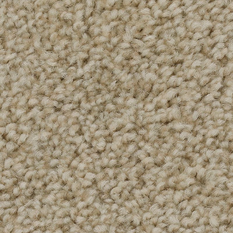 Effortless Choice - 573 - Downy Lustre