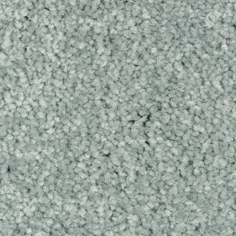 Elegant Appeal III - 655 - Envy