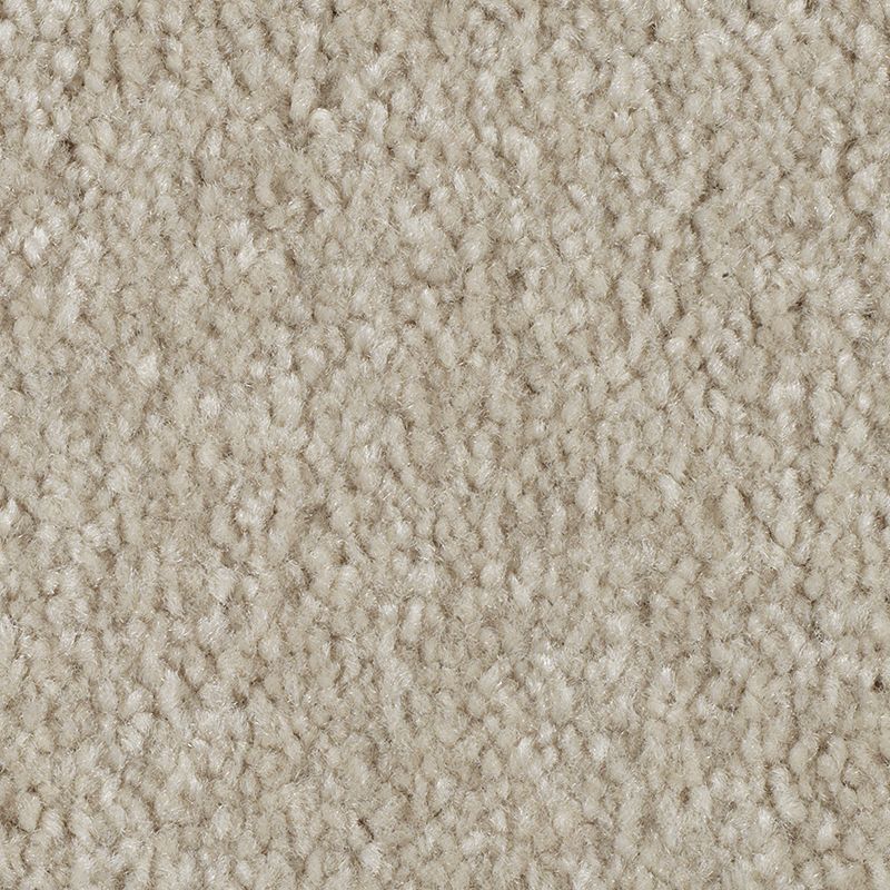 Elegant Appeal III - 727 - Coastal