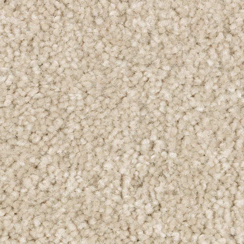 Elegant Appeal III - 758 - Crepe