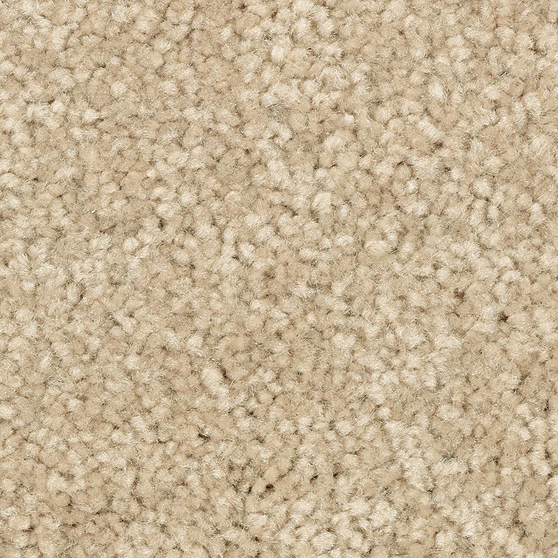 Elegant Appeal III - 761 - Autumn Glow