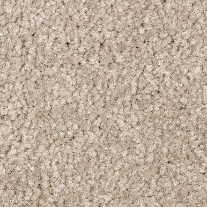 Elegant Appeal III - 768 - Outback