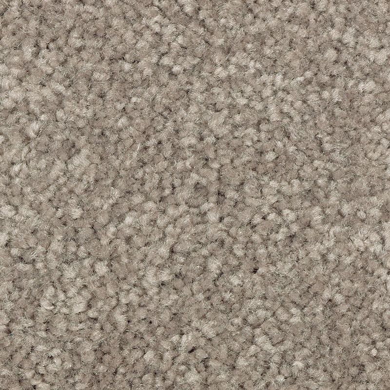 Elegant Appeal II - 820 - Tomorrow's Taupe