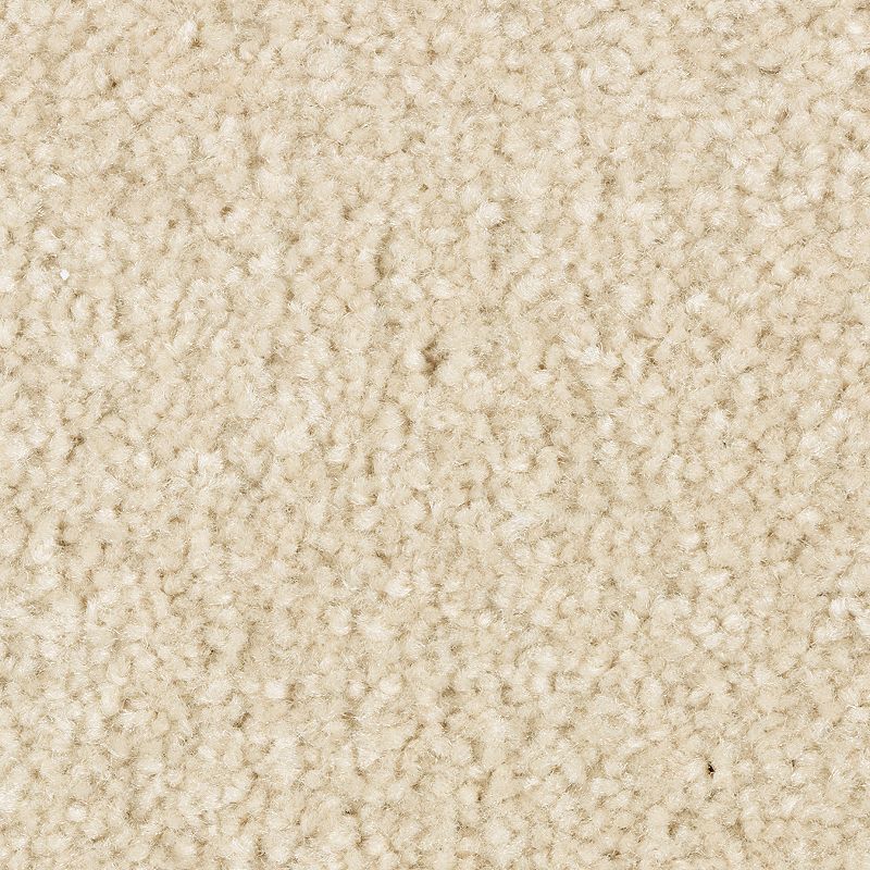 Elegant Appeal I - 833 - Salutation