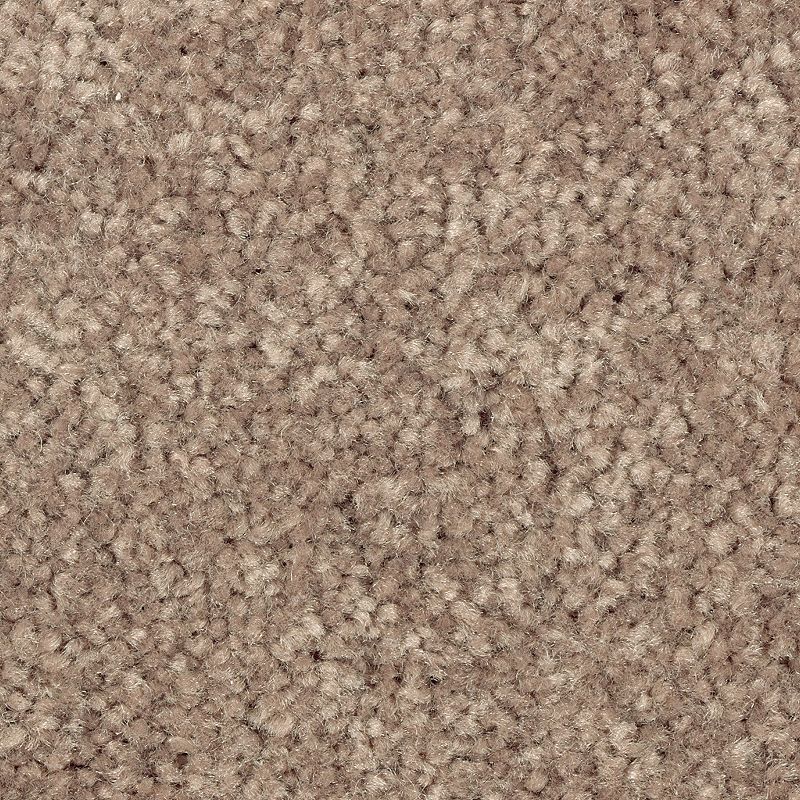 Elegant Appeal I - 848 - Season's Change