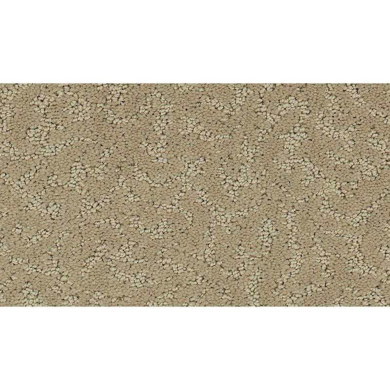 Exceptional Beauty - 502 - Thoughts Of Home