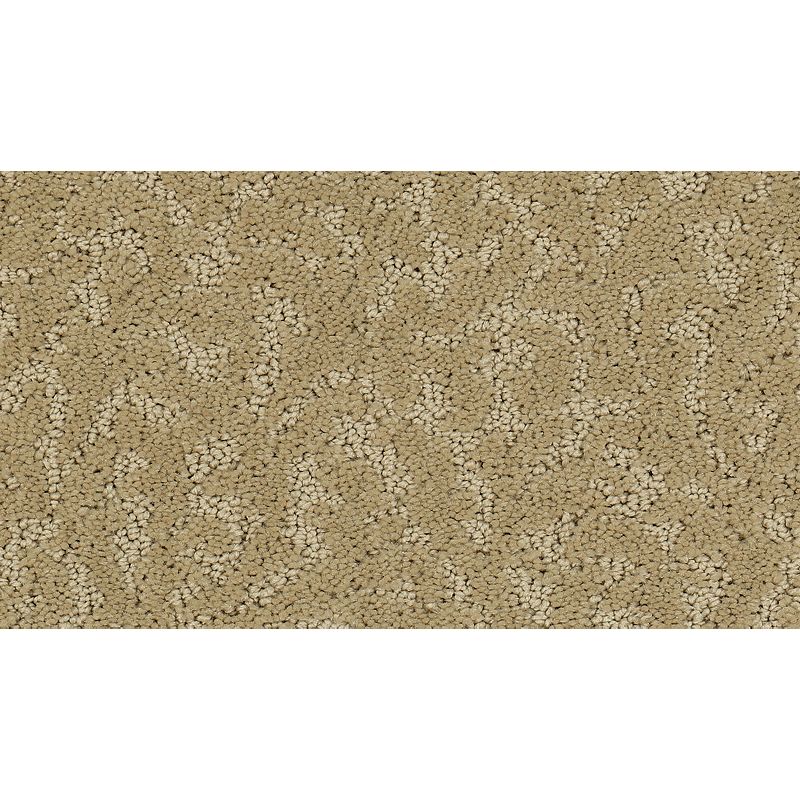 Exceptional Beauty - 503 - Seashell