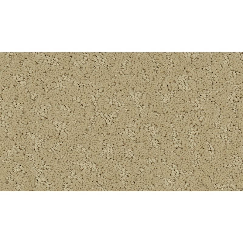 Exceptional Beauty - 504 - Fragile Beauty