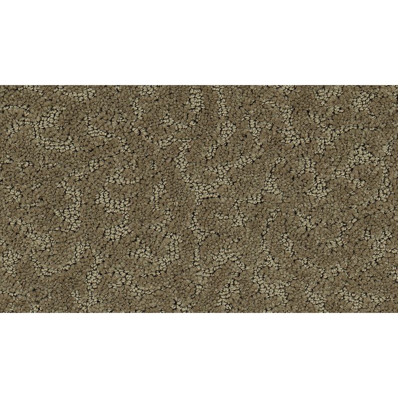 Exceptional Beauty - 515 - Folkstone