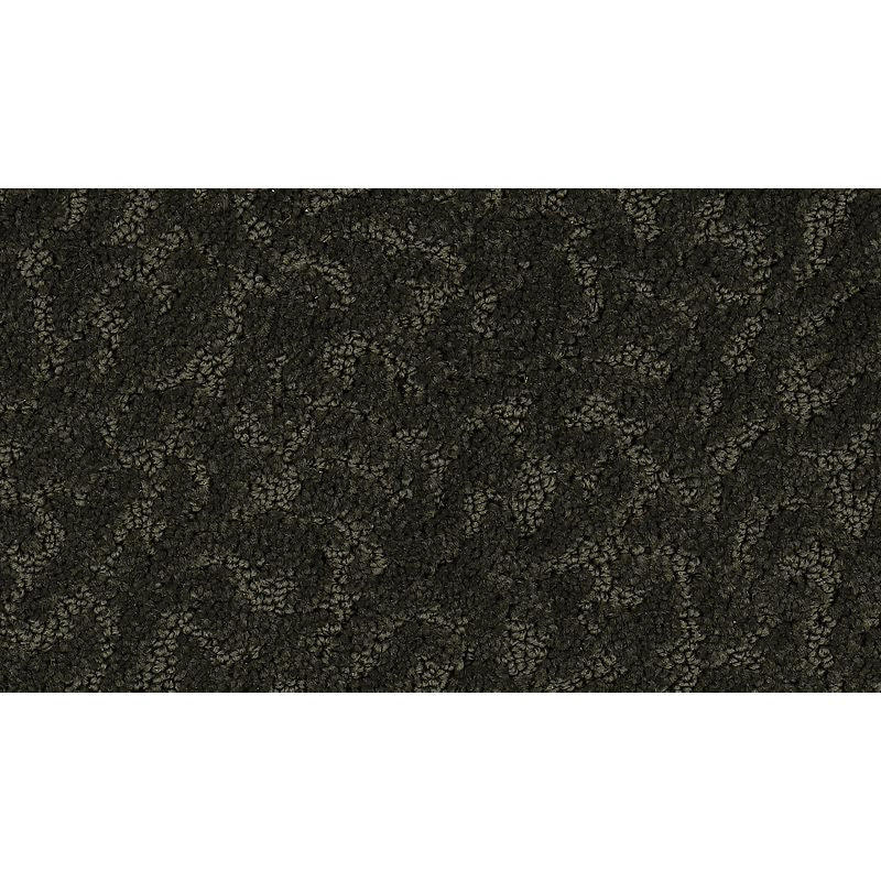 Exceptional Beauty - 519 - Raven