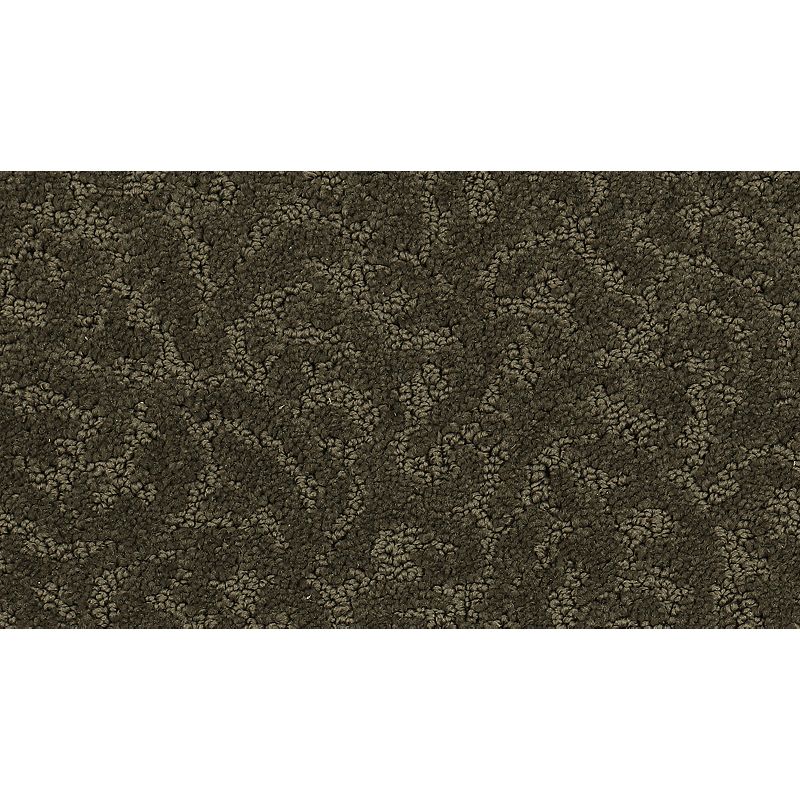 Exceptional Beauty - 520 - Cocoa