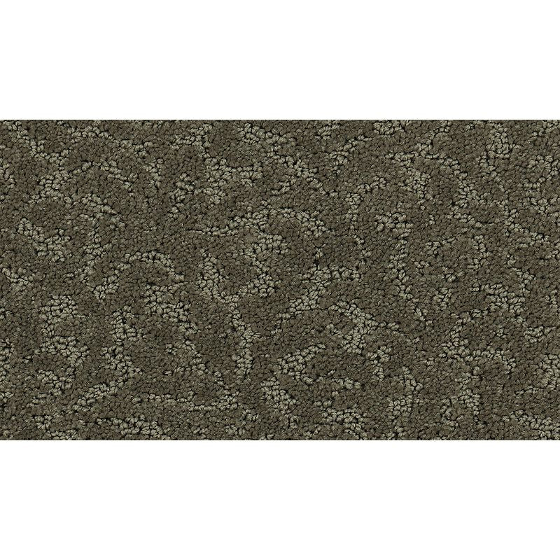 Exceptional Beauty - 521 - Bison