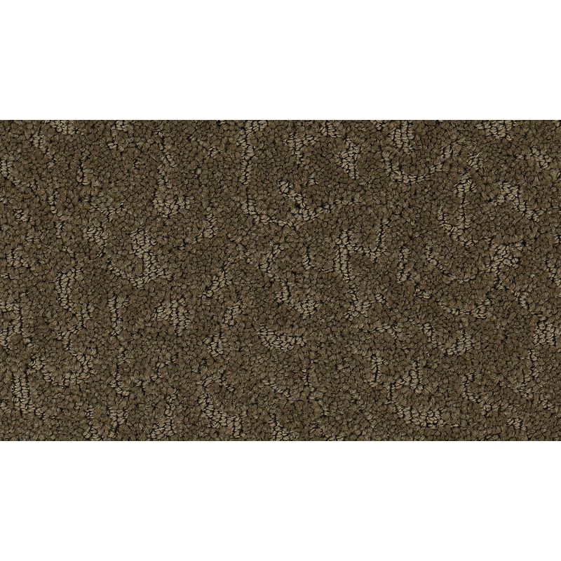 Exceptional Beauty - 522 - October Leaves