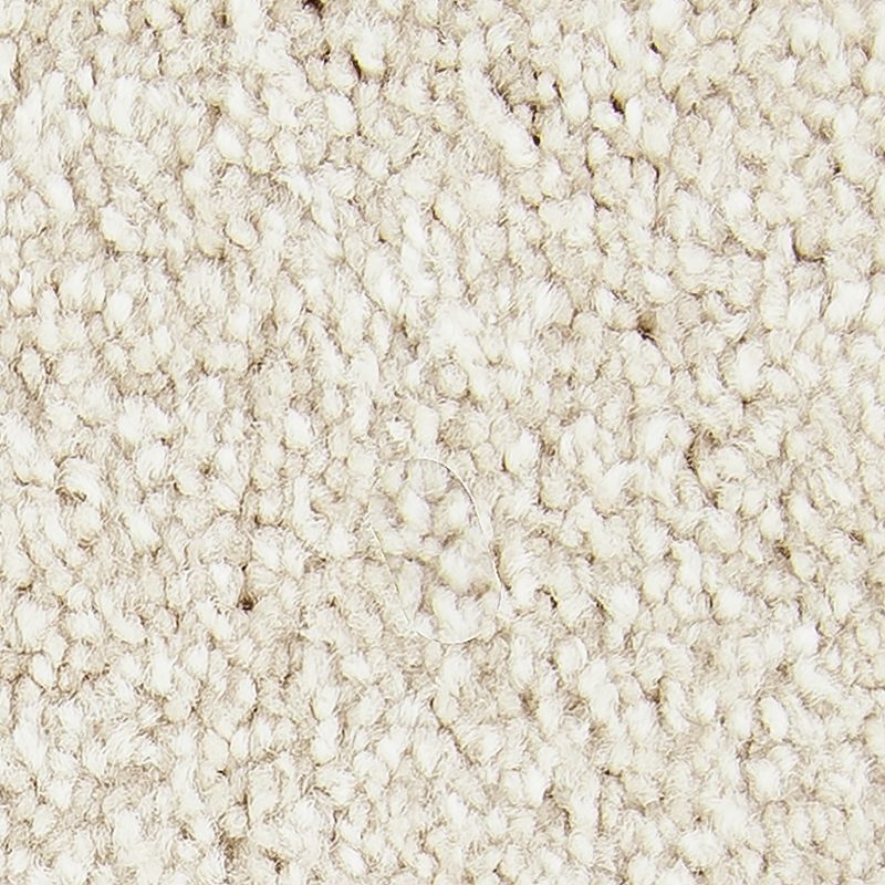Exceptional Choice - 526 - Balsam Beige