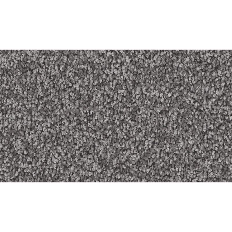 Exceptional Choice - 556 - Alden Charcoal