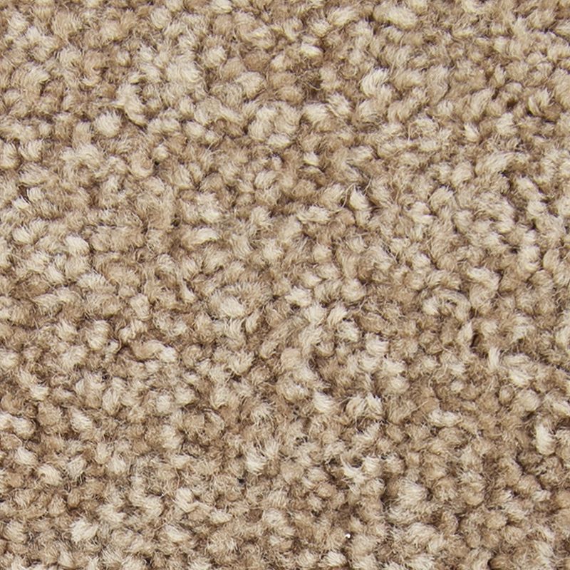 Exceptional Choice - 561 - Nouveau