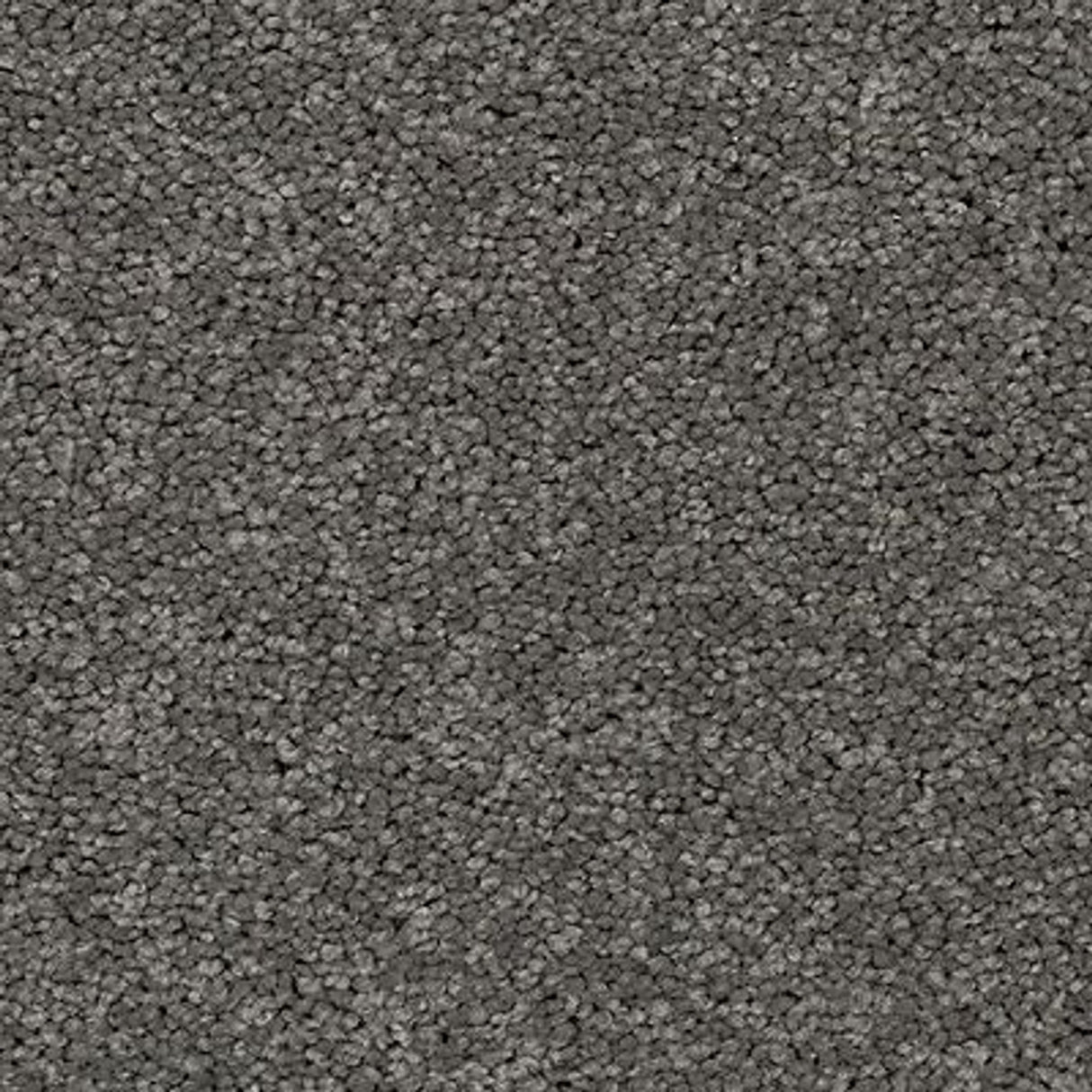 Exciting Selection II - 978 - Mountain Ash