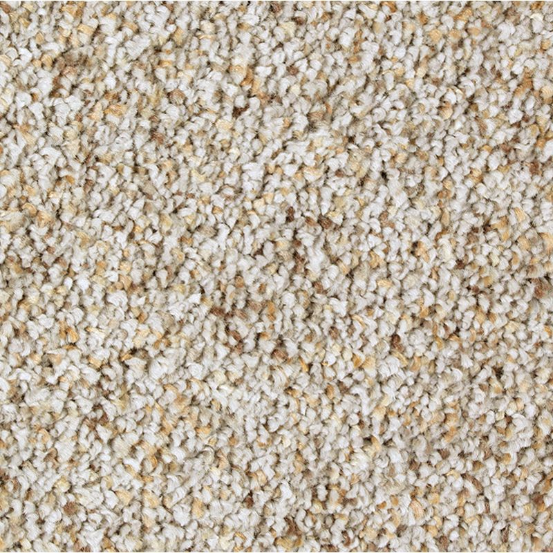 Exquisite Appeal - 501 - Bird Bath