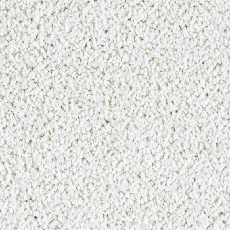 Exquisite Attraction - 507 - Nouveau