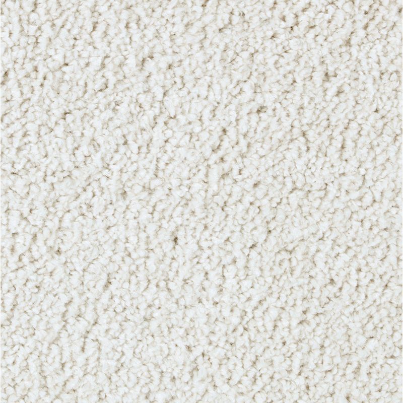 Exquisite Attraction - 509 - Monarch Bone