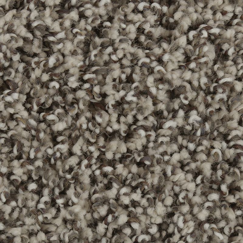 Exquisite Character - 502 - Misty Morn