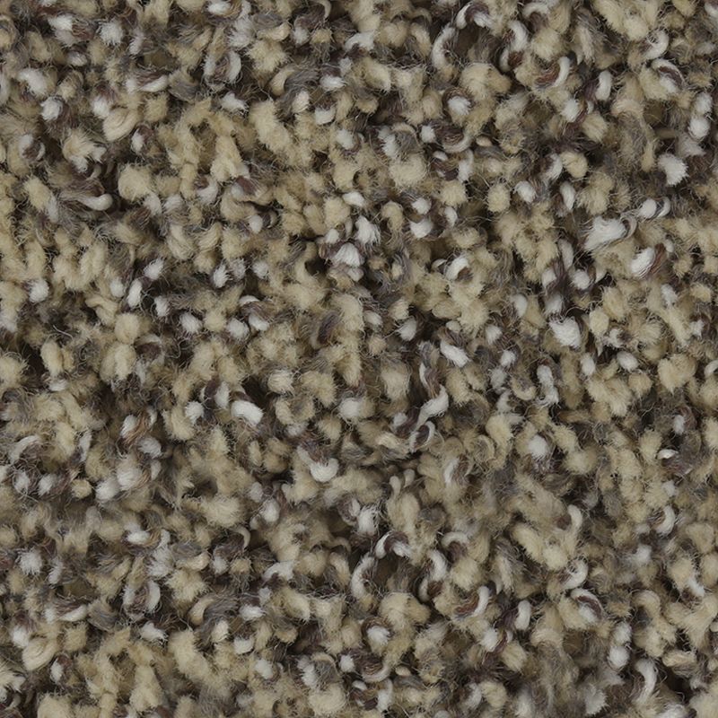 Exquisite Character - 508 - Timeless