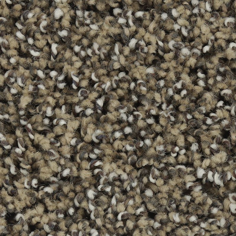 Exquisite Character - 512 - English Toffee