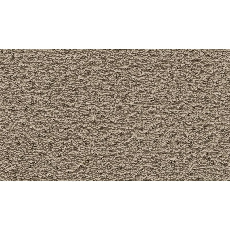 Exquisite Charm - 504 - Forest Twilight