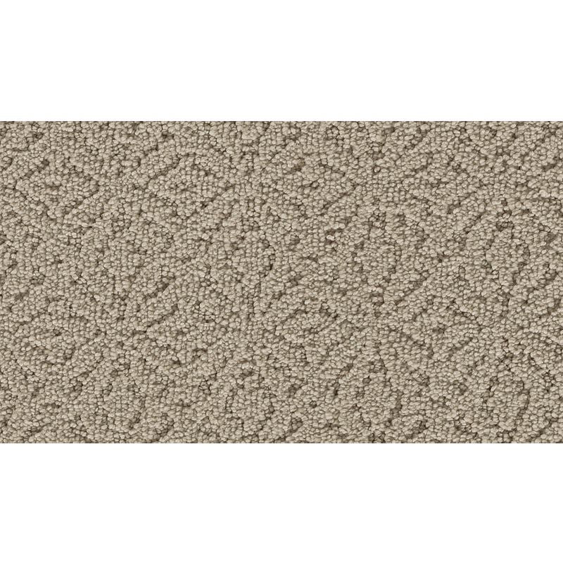 Exquisite Charm - 505 - Cloud White