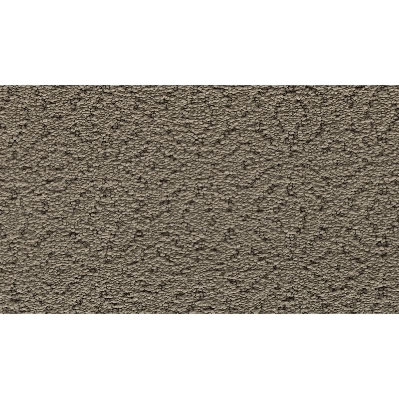 Exquisite Charm - 510 - Ancient Oaks