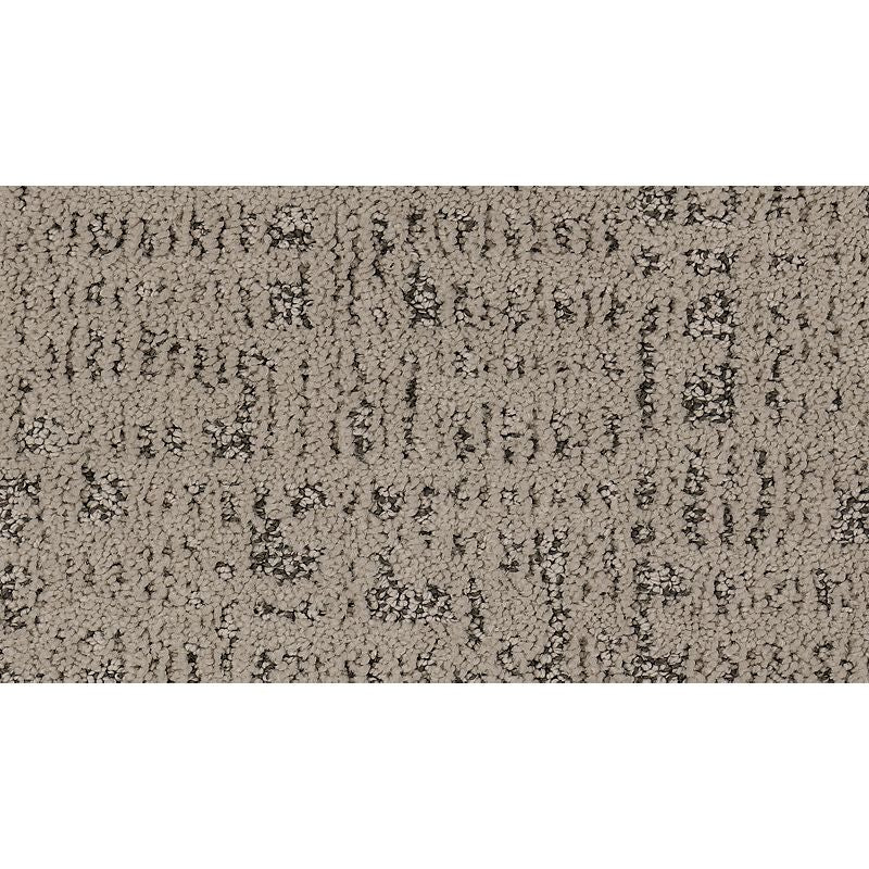 Exquisite Portrait - 503 - Forest Twilight