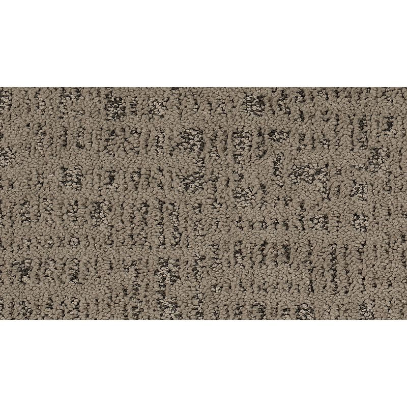 Exquisite Portrait - 510 - Cork