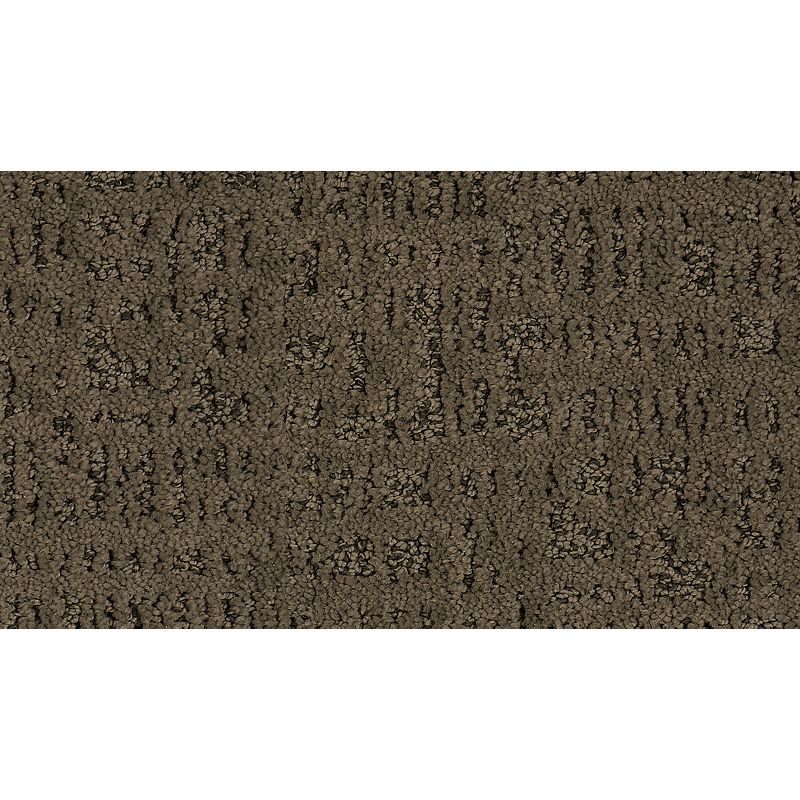 Exquisite Portrait - 521 - Otter