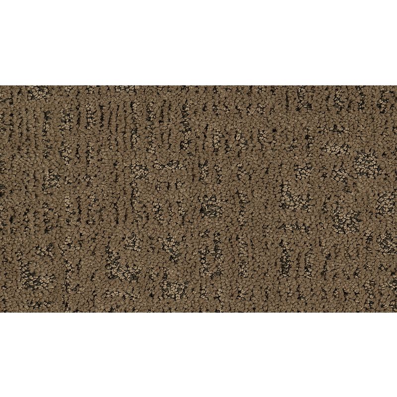 Exquisite Portrait - 523 - Clay Trail