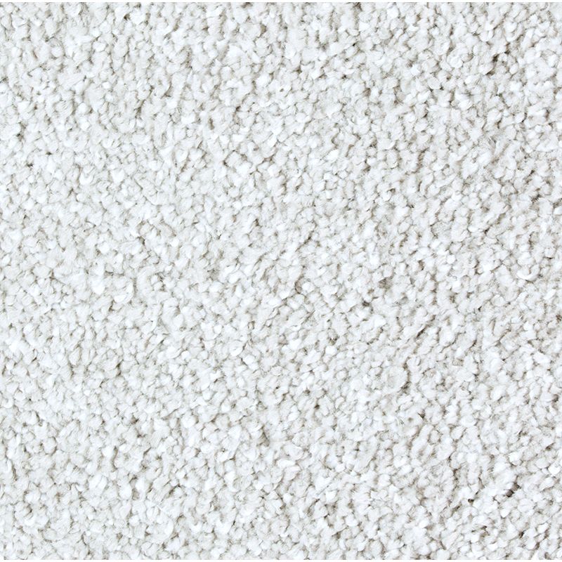 Exquisite Shades - 502 - Homage